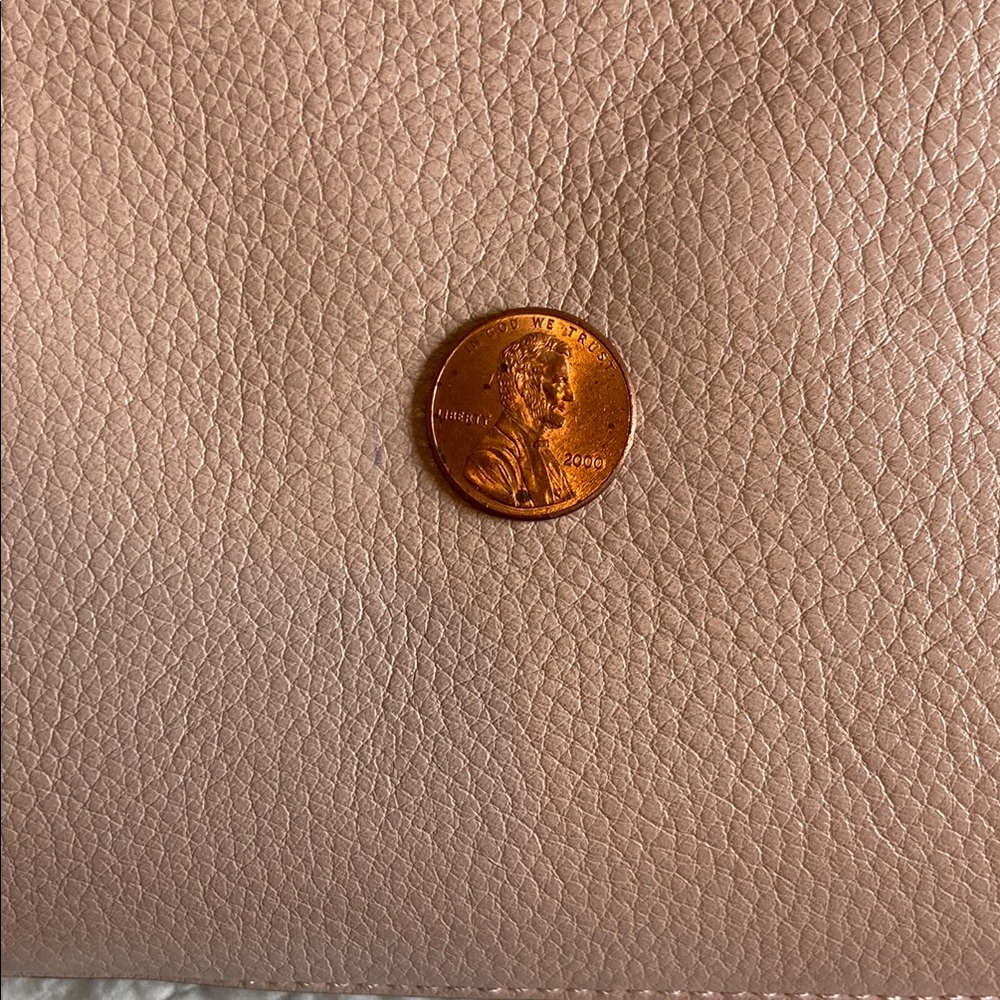 Vince Camuto Cameo Rose Leather Shoulder Bag with Gold Hardware - Picture 11 of 14
